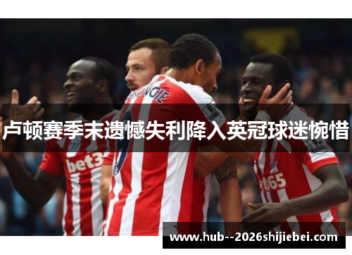 卢顿赛季末遗憾失利降入英冠球迷惋惜 卢顿赛季末遗憾失利降入英冠球迷惋惜